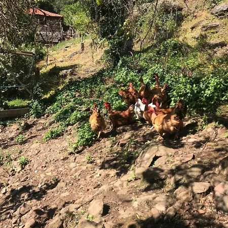 Casa Do Volfrâmio *