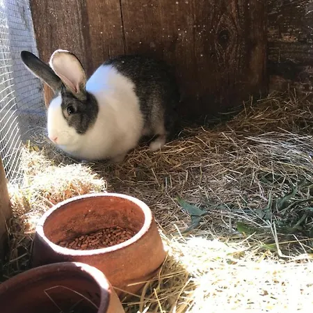 Дом отдыха Casa Do Volframio *