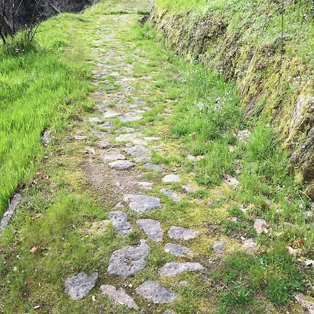 Сasa de vacaciones Casa Do Volframio *