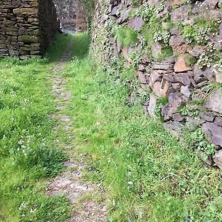 Casa de Férias Casa Do Volfrâmio *