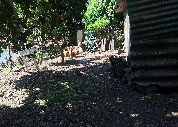 Casa Do Volframio Ferienhaus *