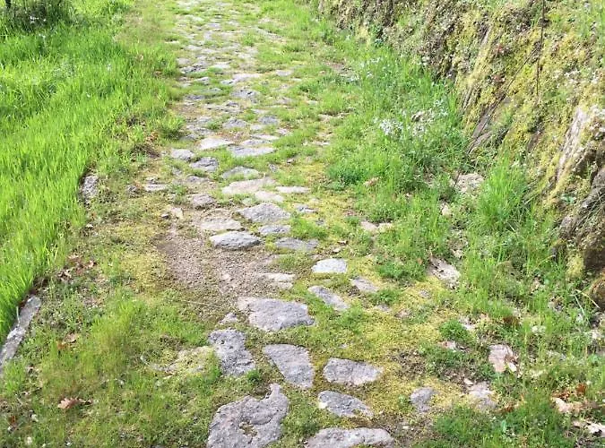 Dom wakacyjny Casa Do Volframio *