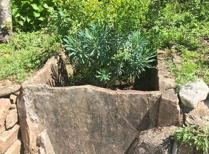 Casa Do Volframio Dom wakacyjny